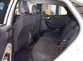 Ford Puma 1.0 ecoboost h Titanium 125cv Bianco - thumbnail 11