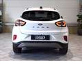 Ford Puma 1.0 ecoboost h Titanium 125cv Bianco - thumbnail 6