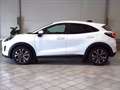 Ford Puma 1.0 ecoboost h Titanium 125cv Bianco - thumbnail 8