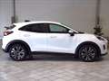 Ford Puma 1.0 ecoboost h Titanium 125cv Bianco - thumbnail 4