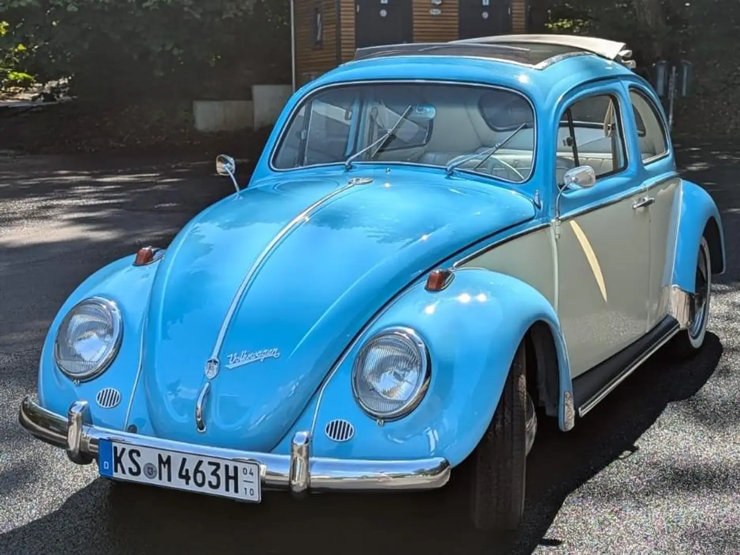 Volkswagen Käfer Blau - 1