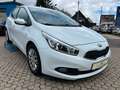 Kia Ceed / cee'd Weiß - thumbnail 1