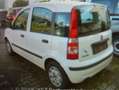 Fiat Panda Panda 1.2 Classic Biały - thumbnail 2