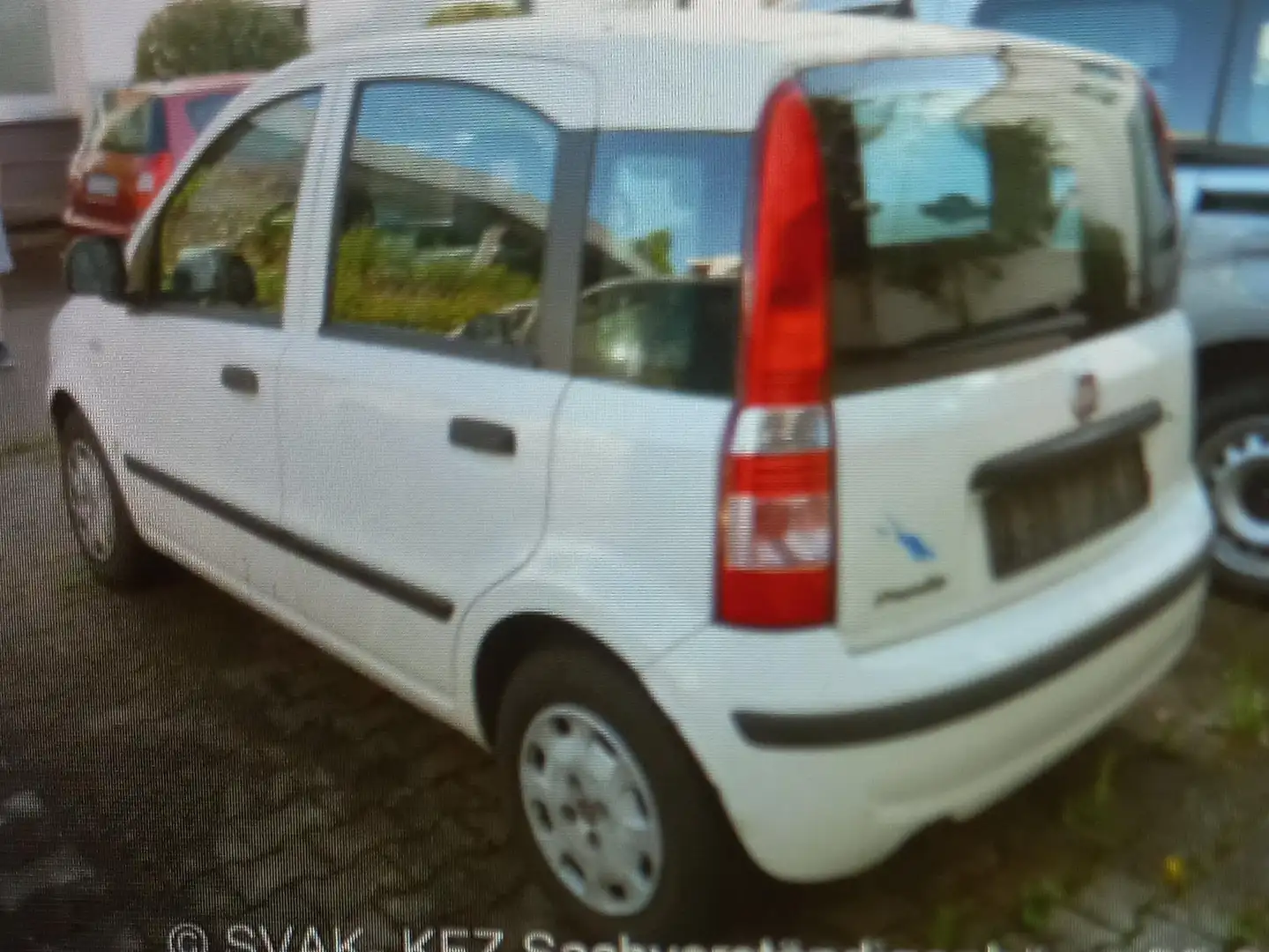 Fiat Panda Panda 1.2 Classic Biały - 2