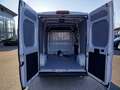 Toyota Proace Max Kawa 2.2  L2H2 Meister*Aktion* Alb - thumbnail 13