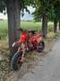 Beta Xtrainer 300 motard - thumbnail 19