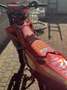 Beta Xtrainer 300 motard - thumbnail 6