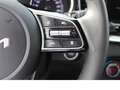 Kia XCeed Plug-in Hybrid NAVI/KAM/SHZ/ACC/LED Gri - thumbnail 12