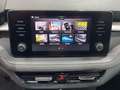 Skoda Fabia 1.0 TSI Style 81kW Rojo - thumbnail 18