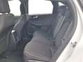 Ford Kuga Titanium Hybrid FHEV AWD Weiß - thumbnail 17