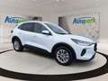 Ford Kuga Titanium Hybrid FHEV AWD Weiß - thumbnail 3