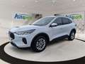 Ford Kuga Titanium Hybrid FHEV AWD Weiß - thumbnail 1