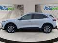Ford Kuga Titanium Hybrid FHEV AWD Weiß - thumbnail 4