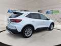 Ford Kuga Titanium Hybrid FHEV AWD Weiß - thumbnail 8