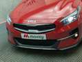 Kia XCeed 1.6 RDI 136 ISG MHEV EMOTION DCT7 Rouge - thumbnail 15