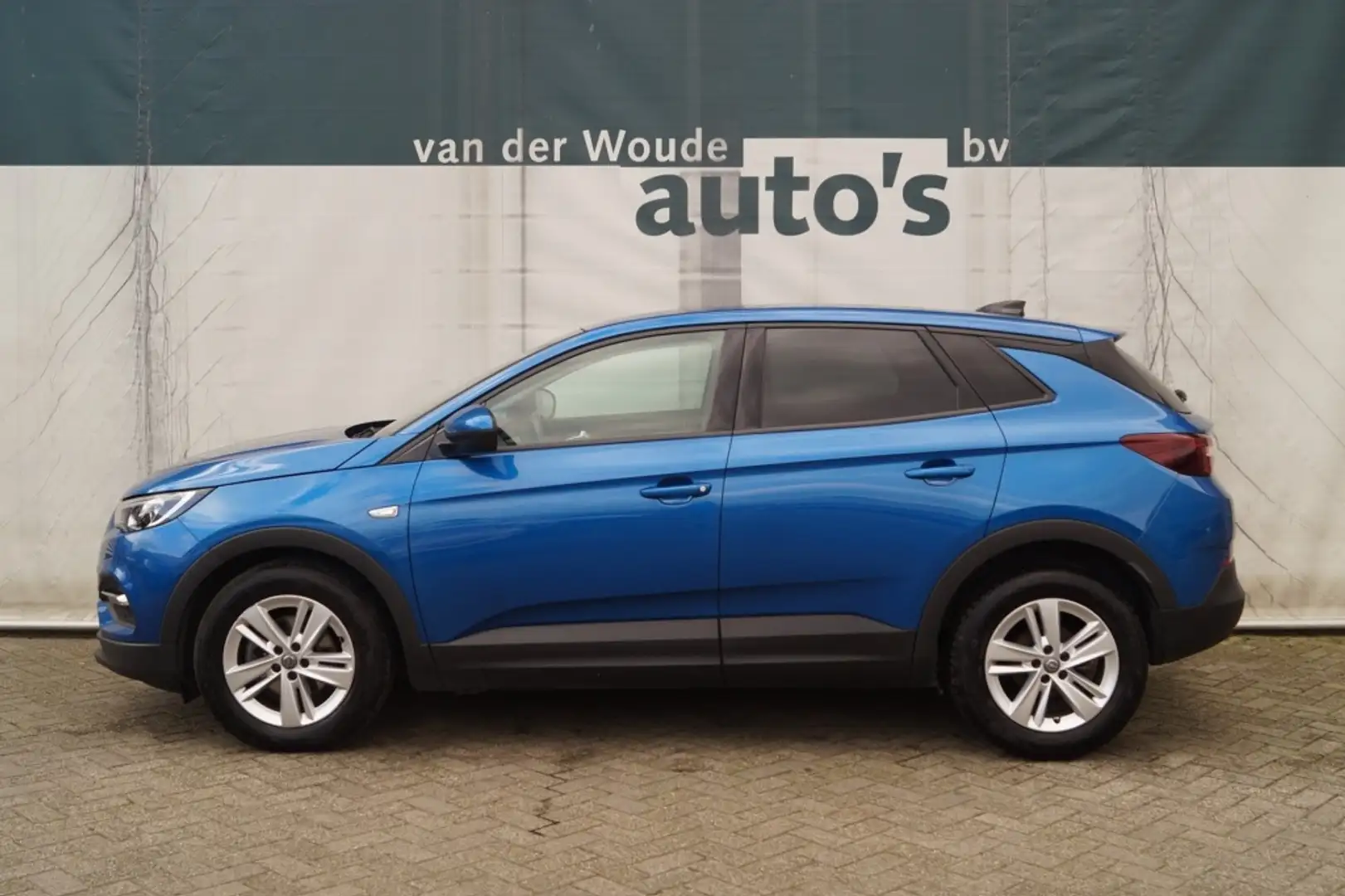 Opel Grandland X 1.5 CDTi 130pk Business Edition -NAVI-CAM- Blauw - 1