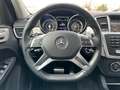 Mercedes-Benz ML 63 AMG -4 Matic-Leder-21 Zoll-TV-R-Ram+Schiebd Nero - thumbnail 13