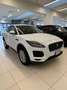 Jaguar E-Pace 2.0D 150 CV AWD *IVA ESPOSTA* Blanc - thumbnail 3