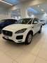 Jaguar E-Pace 2.0D 150 CV AWD *IVA ESPOSTA* Blanc - thumbnail 1