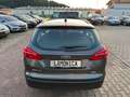 Ford Focus 1,0 EcoBoost 92kW Business Turnier Gris - thumbnail 5