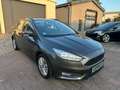 Ford Focus 1,0 EcoBoost 92kW Business Turnier Gris - thumbnail 1
