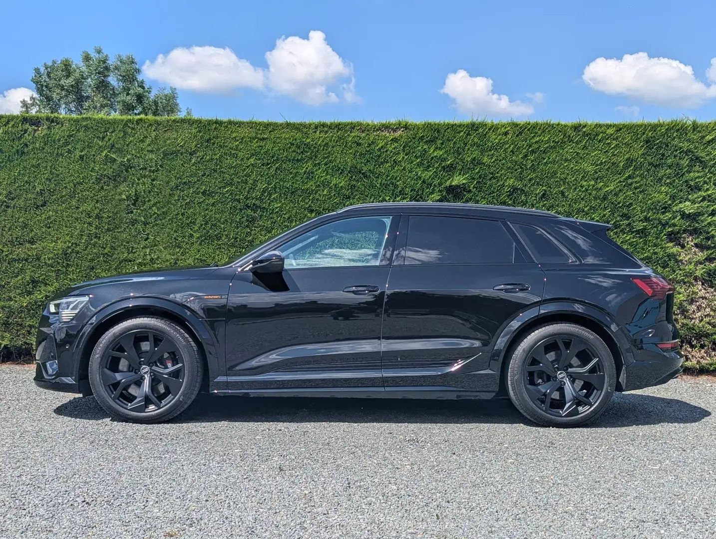 Audi Q8 e-tron (Q8) S 503pk - opendak - 2x s-line - ambiance Schwarz - 2