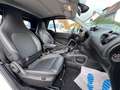 smart forTwo ForTw Cabrio*BRABUS STYLE*NAVI*AMBIENTE*TURBO Weiß - thumbnail 12
