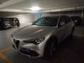 Alfa Romeo Stelvio 2.2 t Super Q2 180cv  auto Argento - thumbnail 2