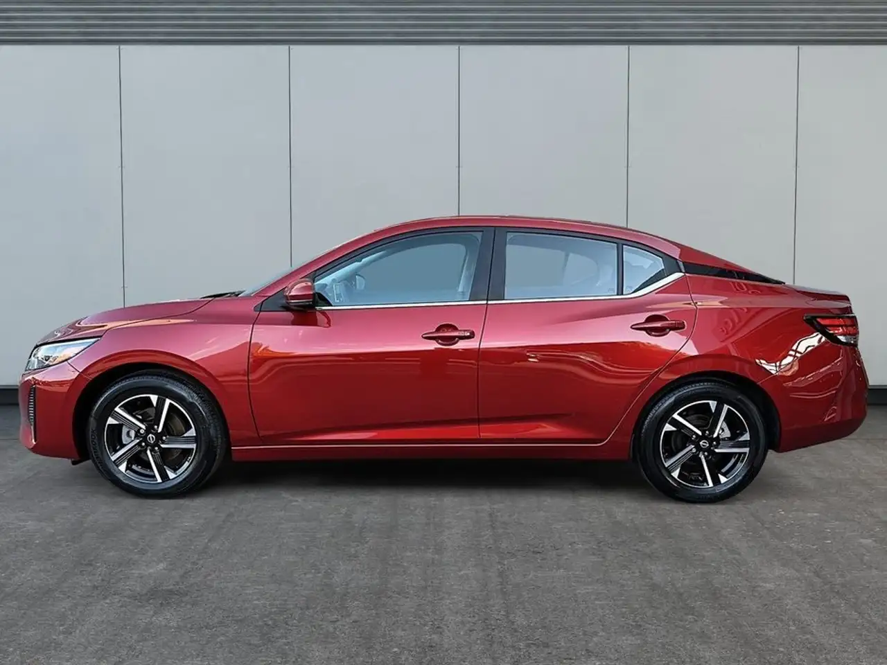 n Sentra fotografie n Sentra