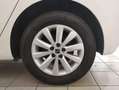 SEAT Ibiza 1.0 TSI S&S Reference XM 95 Blanco - thumbnail 8