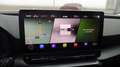 CUPRA Leon 2.0 TSI DSG 190 PS Aut. Grau - thumbnail 10
