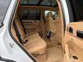 Porsche Cayenne 3.0d 245CV \KiT GTS D'ORiGiNE\  FULL CARNET Blanc - thumbnail 18