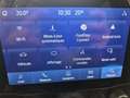 Ford Puma 1.0 EcoBoost 125 ch mHEV Titanium X 6cv Grijs - thumbnail 17