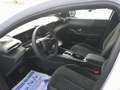 Lancia Ypsilon 1.2 mhev LX 110cv e-dct Bianco - thumbnail 7
