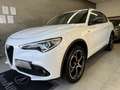 Alfa Romeo Stelvio Stelvio 2.2 t B-Tech Q4 190cv auto Bianco - thumbnail 3