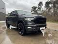 Dodge RAM Dodge Ram F 150 Limited Grijs - thumbnail 5