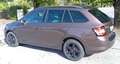 Skoda Fabia Fabia Active 1,4 TDI Active Braun - thumbnail 4