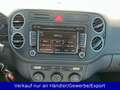 Volkswagen Golf Plus V 2.0 TDI United Blau - thumbnail 13