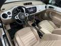 Volkswagen Maggiolino Cabrio 1.2 tsi bm Design 105 cv Beige - thumbnail 7