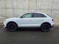 Audi Q3 quattro 2.0TDI 150PS AHK Xenon Kamera Weiß - thumbnail 6