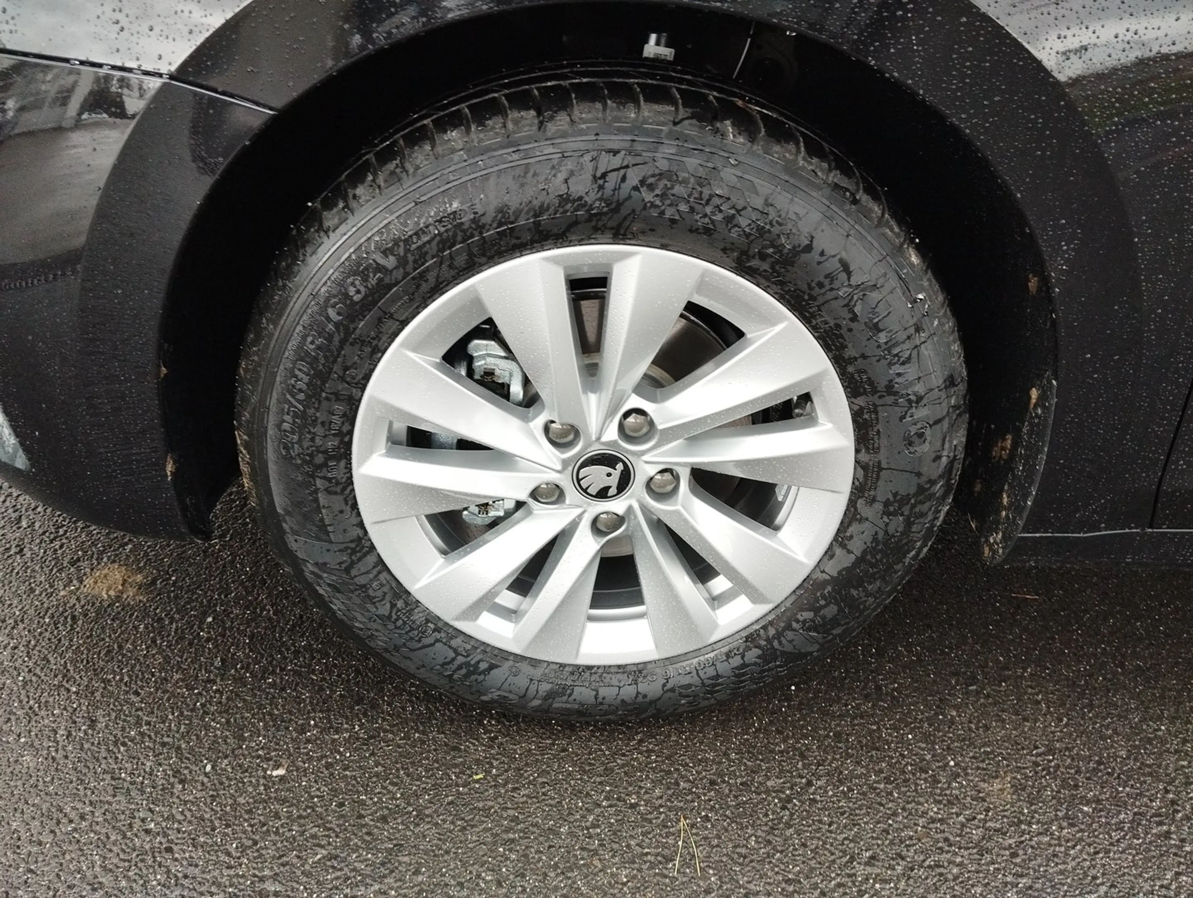 Skoda Octavia Selection TSI mHEV DSG — photo 8