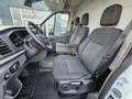 Ford Transit 350 L2H3 Lkw VA MH Trail Blanc - thumbnail 11