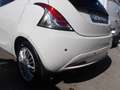 Lancia Ypsilon 1.2 69 CV 5 p GPL Ecochic Platinum PREZZO PROMO Bianco - thumbnail 7
