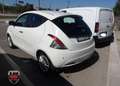 Lancia Ypsilon 1.2 69 CV 5 p GPL Ecochic Platinum PREZZO PROMO Bianco - thumbnail 4