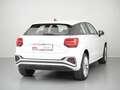 Audi Q2 35 TDI Adrenalin Black edition S tronic 110kW Blanco - thumbnail 4