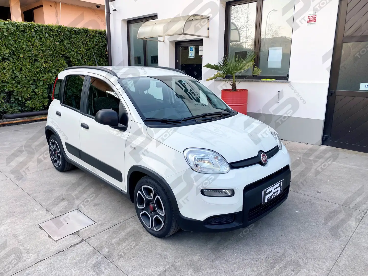 Fiat Panda Panda 1.0 hybrid City Life 70cv - Unipro - Neopat Bianco - 2