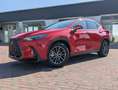 Lexus NX 350h NX II 350h 2.5 Base 2wd e-cvt Rosso - thumbnail 1