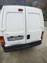 Peugeot Expert 1.9 aspirato Білий - thumbnail 5