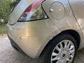 Lancia Ypsilon Ypsilon 1.2i Fire Evo II Gold Beige - thumbnail 10