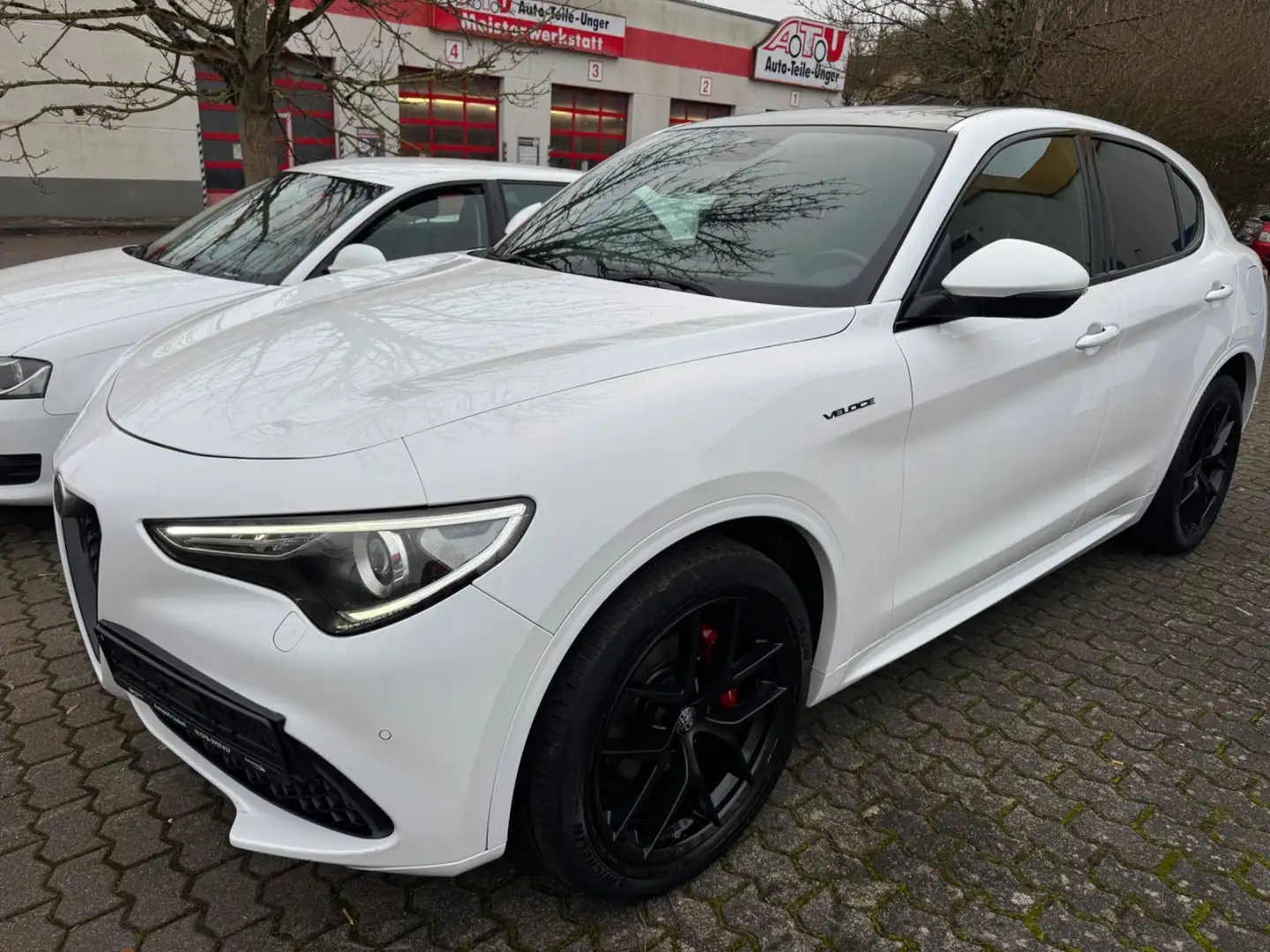 Alfa Romeo Stelvio Veloce Q4 Panorama+Leder+LED+ACC Weiß - 1